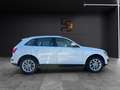 Audi Q5 2.0 tdi Advanced quattro 170cv s-tronic Wit - thumbnail 7
