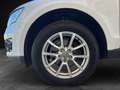 Audi Q5 2.0 tdi Advanced quattro 170cv s-tronic Wit - thumbnail 19