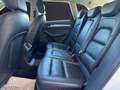 Audi Q5 2.0 tdi Advanced quattro 170cv s-tronic Wit - thumbnail 16