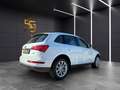 Audi Q5 2.0 tdi Advanced quattro 170cv s-tronic Wit - thumbnail 3