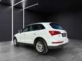 Audi Q5 2.0 tdi Advanced quattro 170cv s-tronic Wit - thumbnail 4