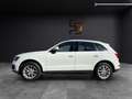 Audi Q5 2.0 tdi Advanced quattro 170cv s-tronic Wit - thumbnail 8