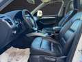 Audi Q5 2.0 tdi Advanced quattro 170cv s-tronic Wit - thumbnail 11