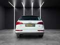 Audi Q5 2.0 tdi Advanced quattro 170cv s-tronic Wit - thumbnail 6