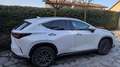 Lexus NX 200t NX II 2022 350h 2.5 Premium 4wd 244cv e-cvt Weiß - thumbnail 1