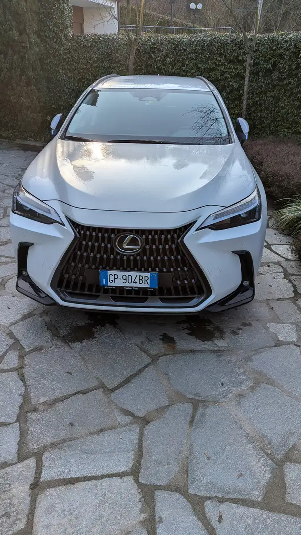 Lexus NX 200t NX II 2022 350h 2.5 Premium 4wd 244cv e-cvt Weiß - 2