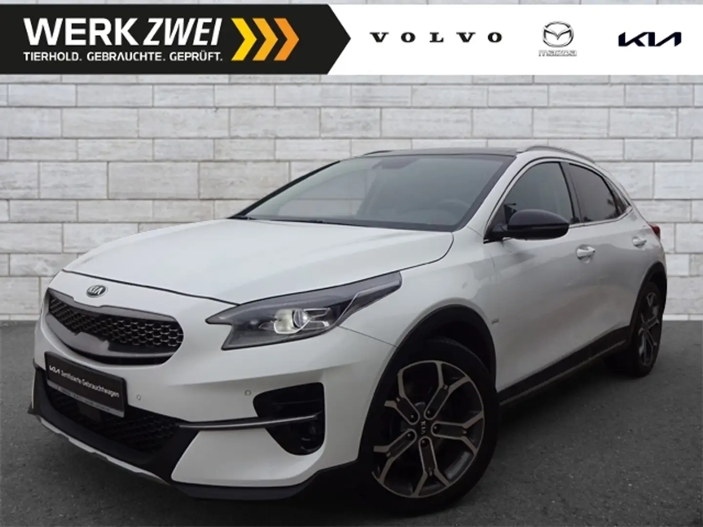 Kia XCeed 1,6 Platinum AT AHK Pano Leder ACC BLIS Weiß - 1