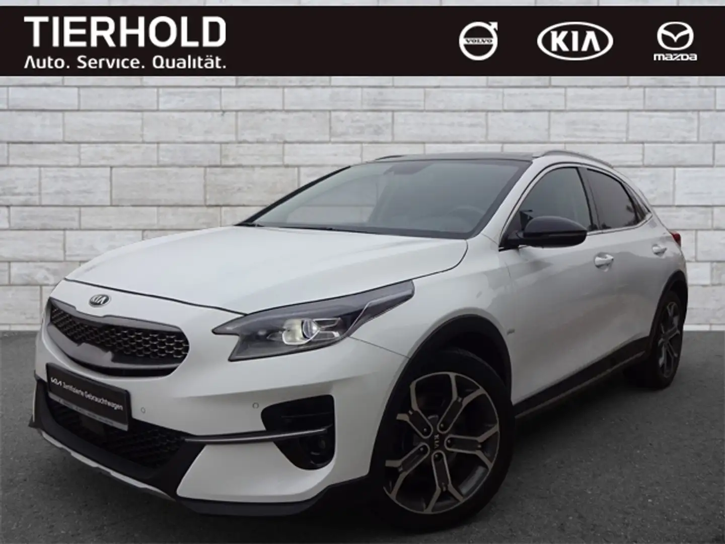 Kia XCeed 1,6 Platinum AT AHK Pano Leder ACC BLIS Weiß - 2
