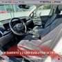 Kia Sorento Sorento 2.2 CRDi DCT8 4WD Evolution Bianco - thumbnail 10