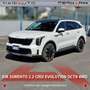 Kia Sorento Sorento 2.2 CRDi DCT8 4WD Evolution Bianco - thumbnail 3