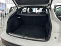 Audi Q5 Sportback 40 TDI quattro-ultra S line S tronic 150 Blanco - thumbnail 11