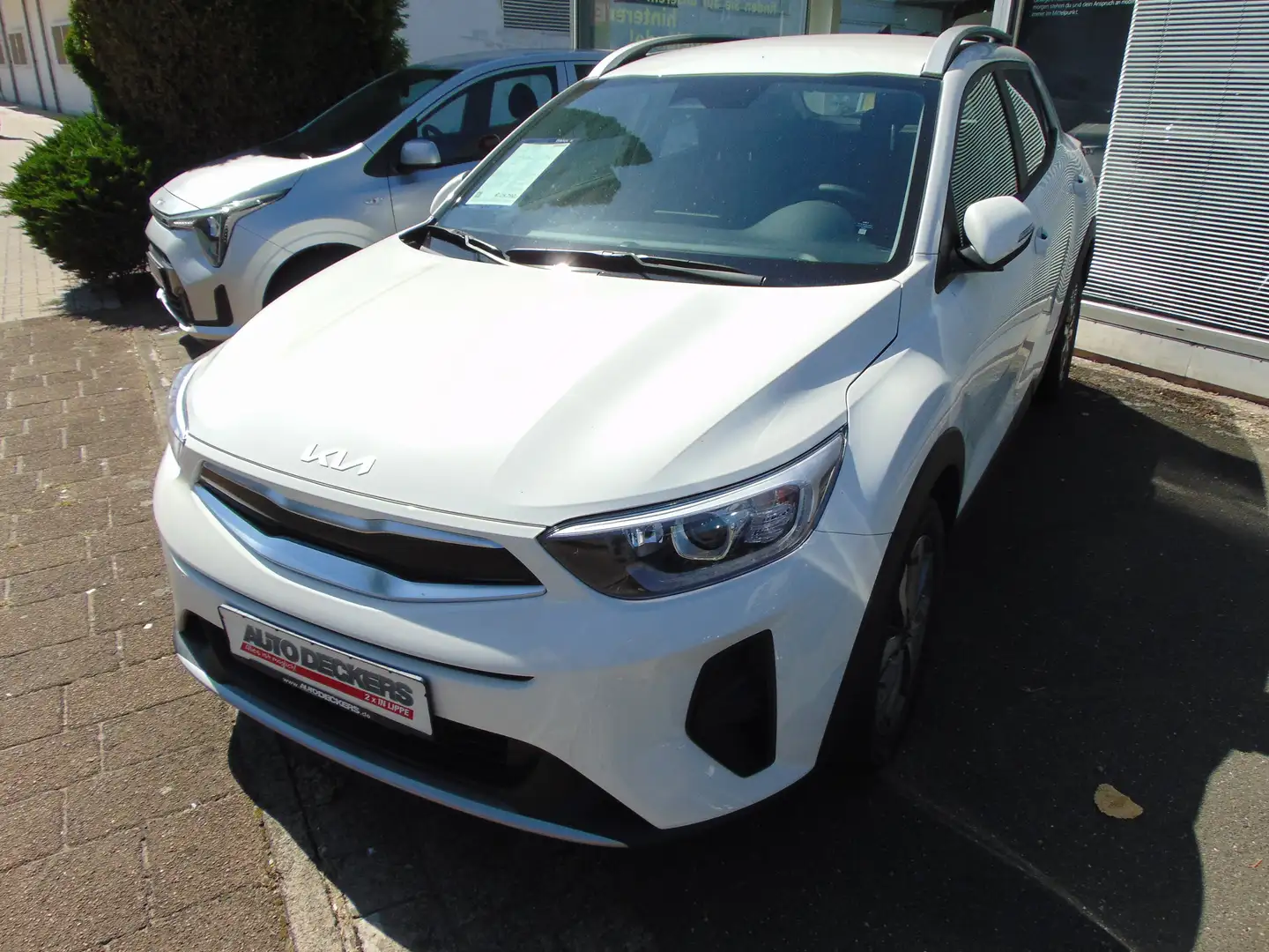 Kia Stonic Vision Weiß - 1