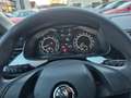 Skoda Scala 1,5 TSI Ambition Blanc - thumbnail 14