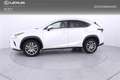 Lexus NX 300 300h Executive Navigation 4WD - thumbnail 3