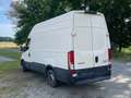 Iveco Daily 35 C 17A8 V Weiß - thumbnail 9