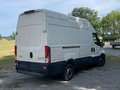 Iveco Daily 35 C 17A8 V Weiß - thumbnail 8