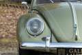 Volkswagen Beetle Oval Ragtop "Total ground up restoration" Fully re Vert - thumbnail 18