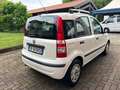 Fiat Panda Panda II 2003 1.2 easypower Active Gpl 69cv Blanc - thumbnail 4