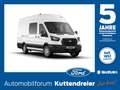 Ford Transit Kasten DoKa Trend 350 L4 *360°*ACC*NAVI* Blanco - thumbnail 1