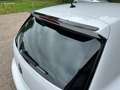 Volkswagen Polo 1.0 ALLSTAR Cruise control Climate control Wit - thumbnail 21