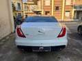 Jaguar XJ 3.0D V6 300 CV Portfolio Blanco - thumbnail 6