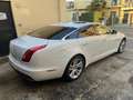 Jaguar XJ 3.0D V6 300 CV Portfolio Blanco - thumbnail 5