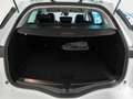 Renault Megane S.T. 1.5dCi Blue Zen 85kW Blanco - thumbnail 20