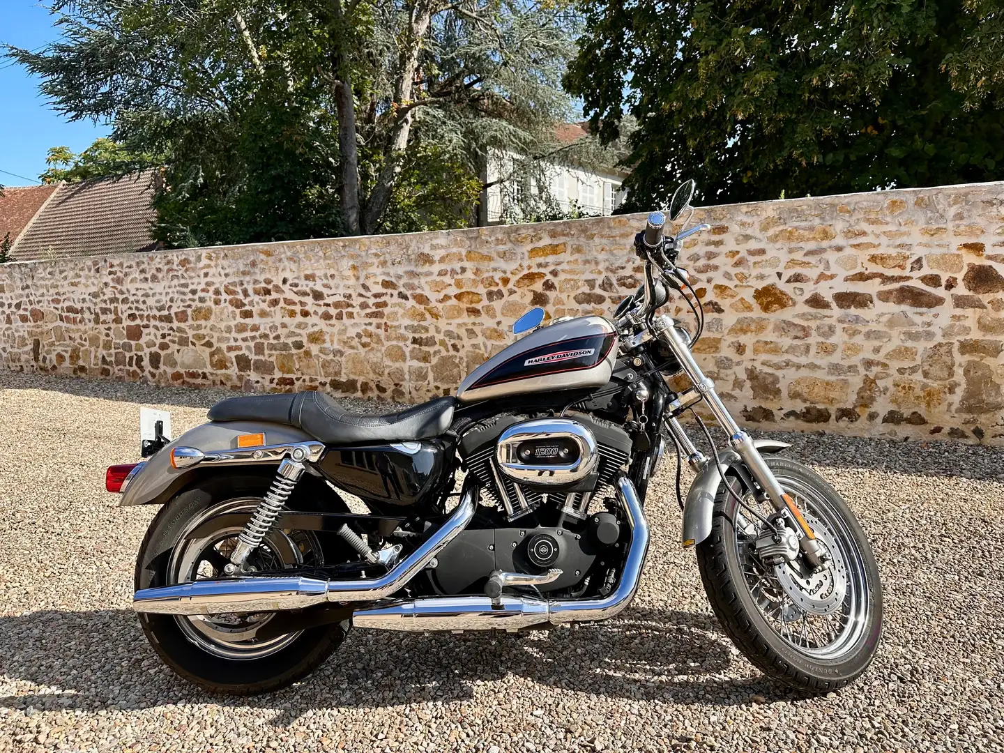 Harley-Davidson Sportster 1200 Сірий - 1