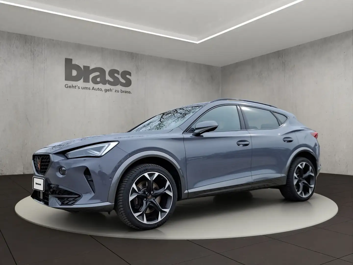 CUPRA Formentor 2.0 TSI VZ OPF Gris - 1