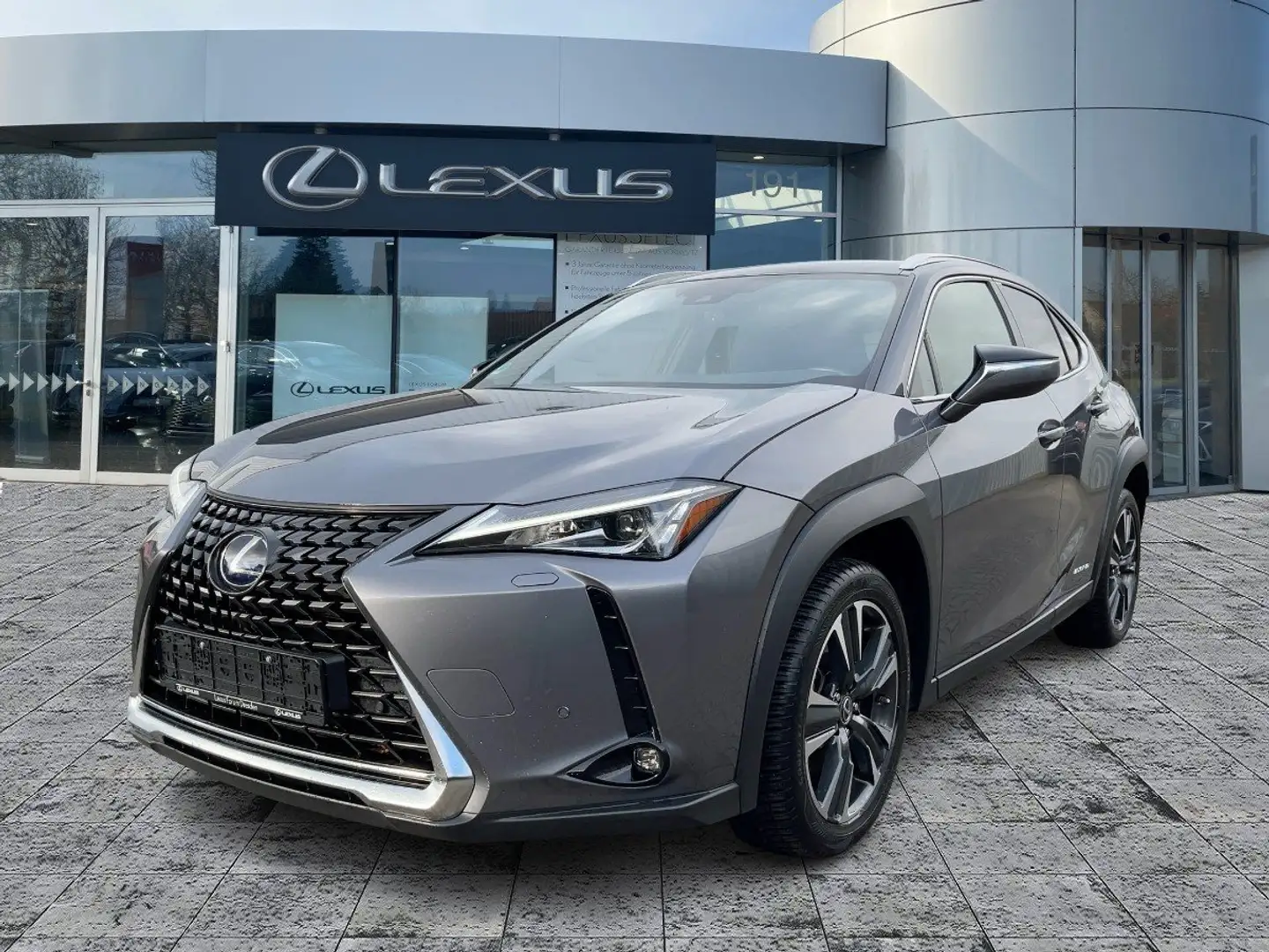 Lexus UX 250h Style Edition ACC*KAM*DAB*SHZ*LED Gris - 2