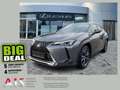 Lexus UX 250h Style Edition ACC*KAM*DAB*SHZ*LED Grijs - thumbnail 1