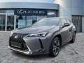 Lexus UX 250h Style Edition ACC*KAM*DAB*SHZ*LED Grijs - thumbnail 2