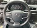 Lexus UX 250h Style Edition ACC*KAM*DAB*SHZ*LED Grau - thumbnail 12