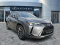 Lexus UX 250h Style Edition ACC*KAM*DAB*SHZ*LED Grijs - thumbnail 8