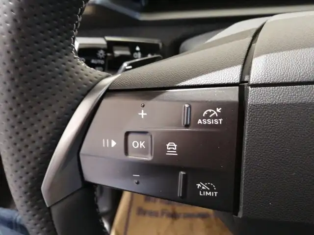 Opel Grandland PHEV GS 1.6 Parksensoren vo+hi Ansicht 21