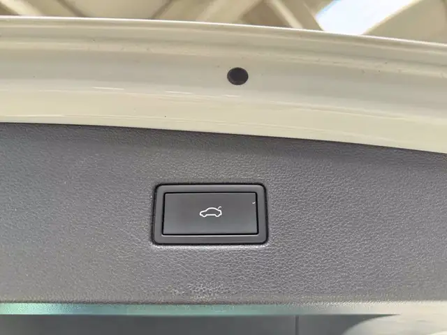 Volkswagen Tiguan view 18