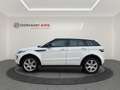 Land Rover Range Rover Evoque 2.2L TD4 Dynamic 4x4 Aut. Blanc - thumbnail 32