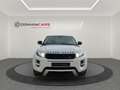 Land Rover Range Rover Evoque 2.2L TD4 Dynamic 4x4 Aut. Blanc - thumbnail 5