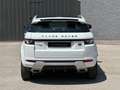 Land Rover Range Rover Evoque 2.2L TD4 Dynamic 4x4 Aut. Blanc - thumbnail 9