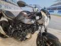 Suzuki SV 650 "SPECIAL X-TER" - Km 2600 - thumbnail 13