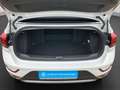 Volkswagen T-Roc 1.0 TSI GOAL LED KAMERA LM17 Weiß - thumbnail 16
