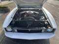 Ford Mustang Mach 1 5.8 Benzine met Airco Білий - thumbnail 16