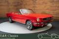 Ford Mustang Cabriolet | Gerestaureerd | 1965 Red - thumbnail 1
