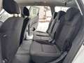 Renault Grand Scenic Grand Scénic TCe 115 PF Zen *Tempomat, Parksensor* Weiß - thumbnail 9