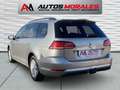 Volkswagen Golf Variant 1.6TDI Advance Gris - thumbnail 5