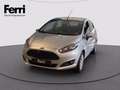 Ford Fiesta 5p 1.5 tdci Titanium 75cv Grigio - thumbnail 1