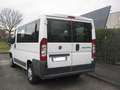 Fiat Ducato 2.3 Mjt 130Cv Euro5 Panorama 9 Posti Bianco - thumbnail 4
