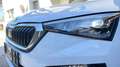 Skoda Scala Scala 1,0 TSI Ambition DSG Ambition Weiß - thumbnail 14