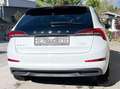 Skoda Scala Scala 1,0 TSI Ambition DSG Ambition Weiß - thumbnail 5