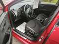 SEAT Leon FR, HU/AU & KD Neu Rouge - thumbnail 7